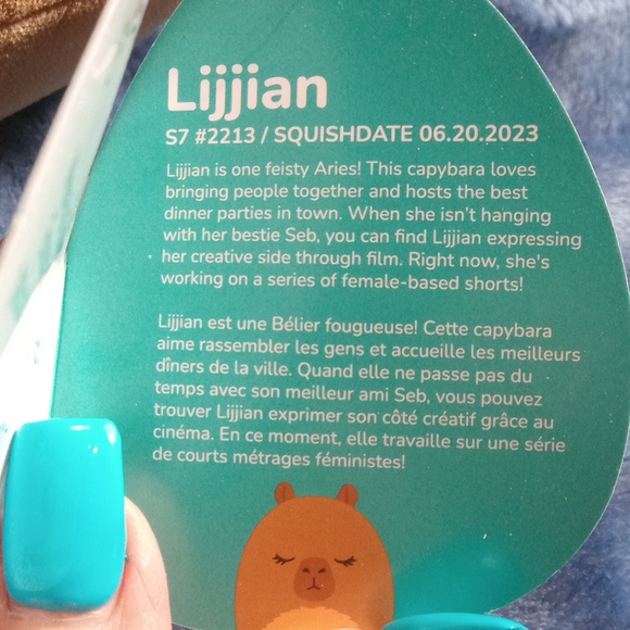 "Lijjian" Capybara Squishmallow - Picture 5 of 5